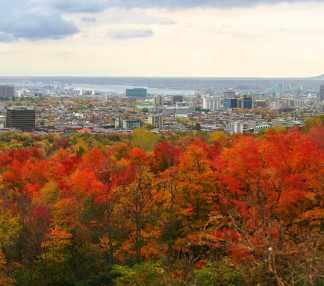 Sprachreisen Montreal