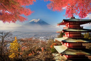 Sprachreise Japan